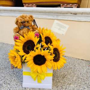 Arreglo de Girasol con Peluche