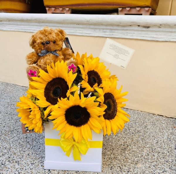 Arreglo de Girasol con Peluche