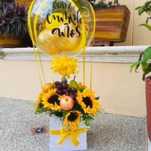 girasoles barranquilla