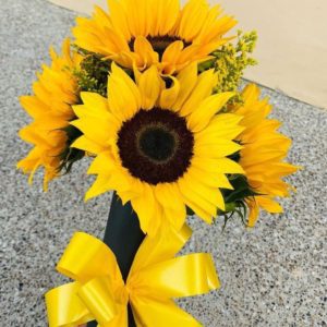 girasoles barranquilla