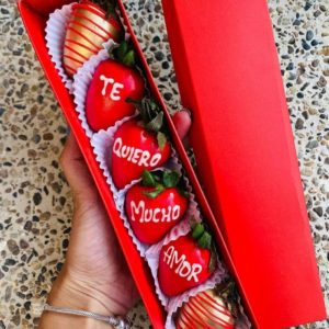 fresas con chocolates